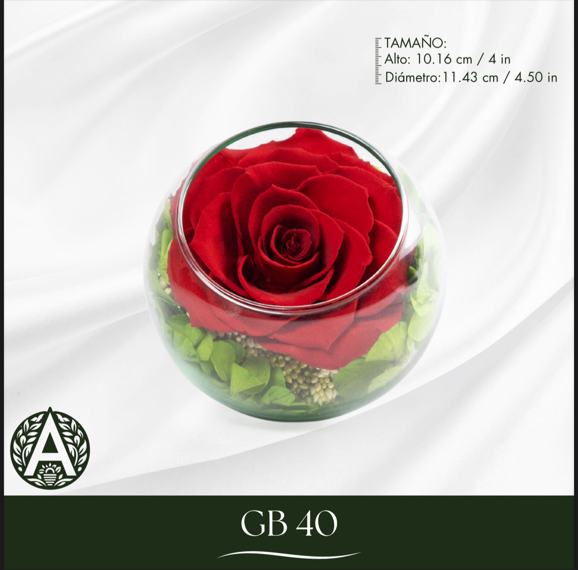 GB14 ROSA PRESERVADA CUBO LAZO