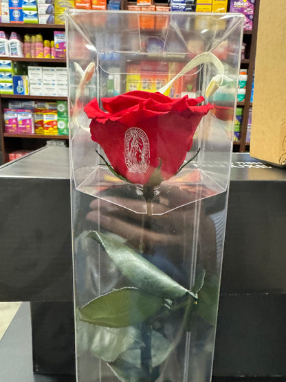 ROSA  GUADALUPE ROJA 12 PZ