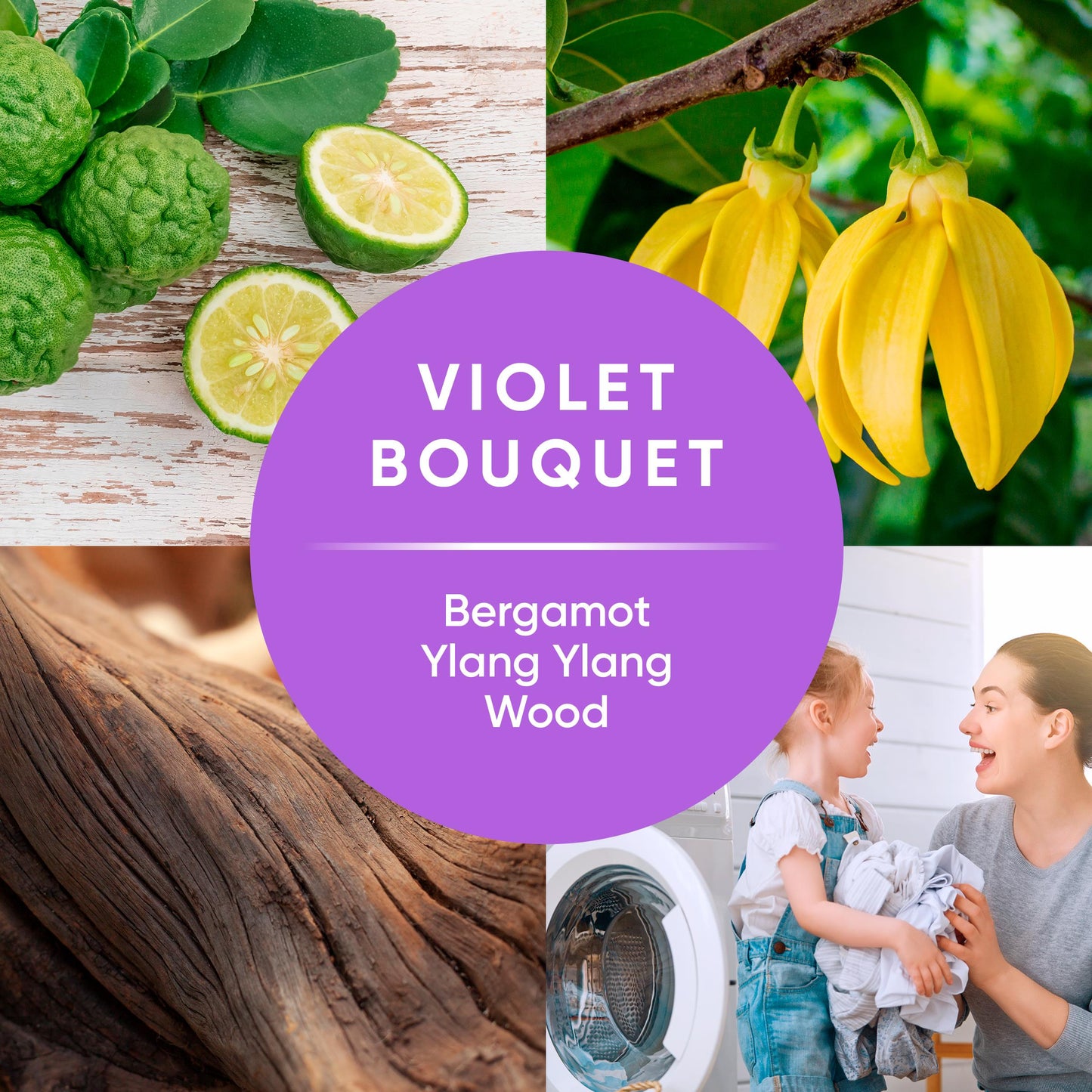 DREAM VIOLET BOUQUET 4/125 oz