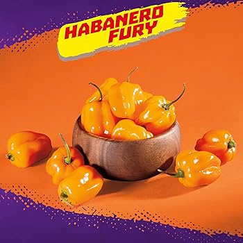 TAKIS HABANERO 20/4oz