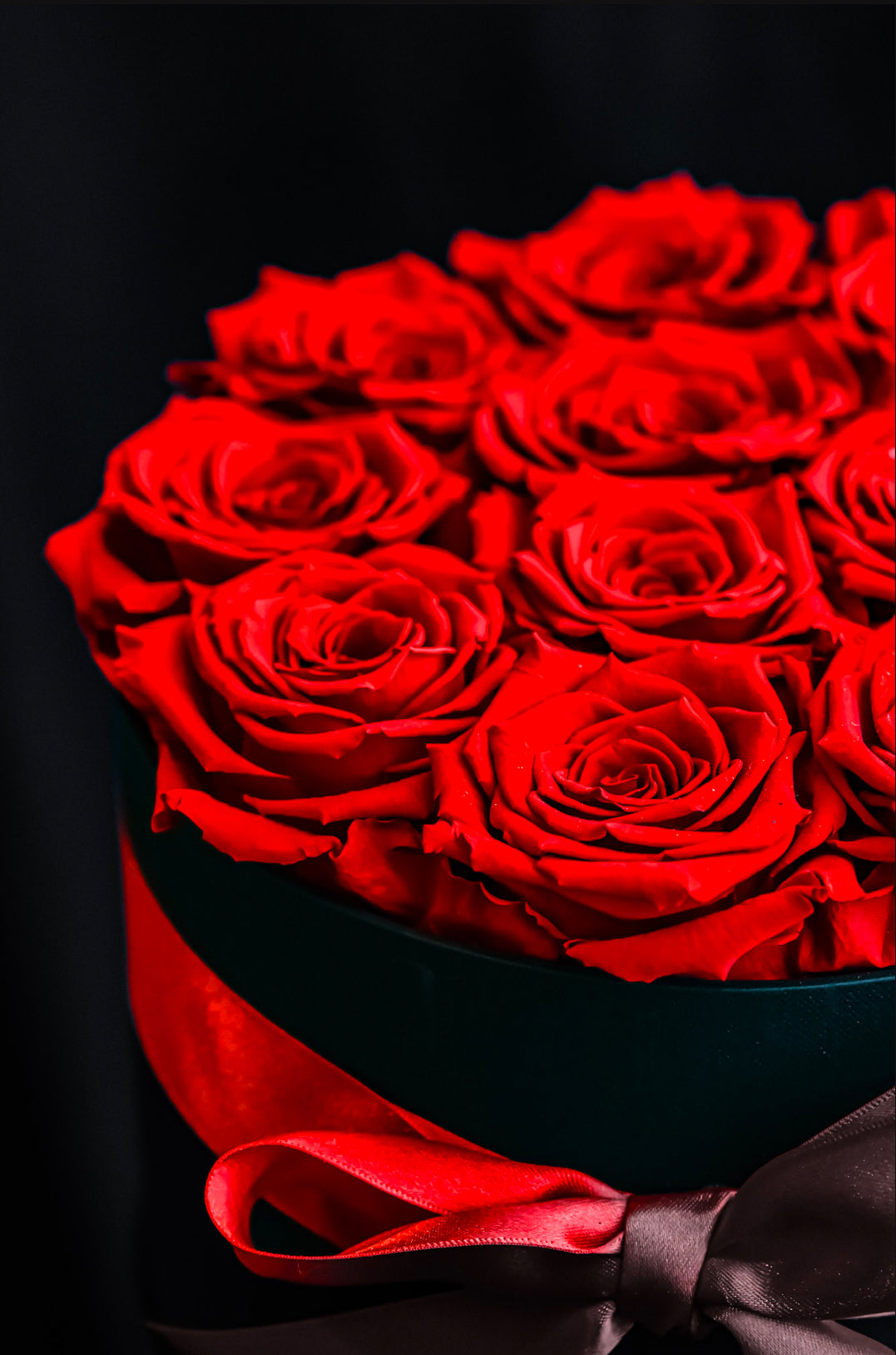 DELUXE BOX 16 ROSAS PRESERVADA