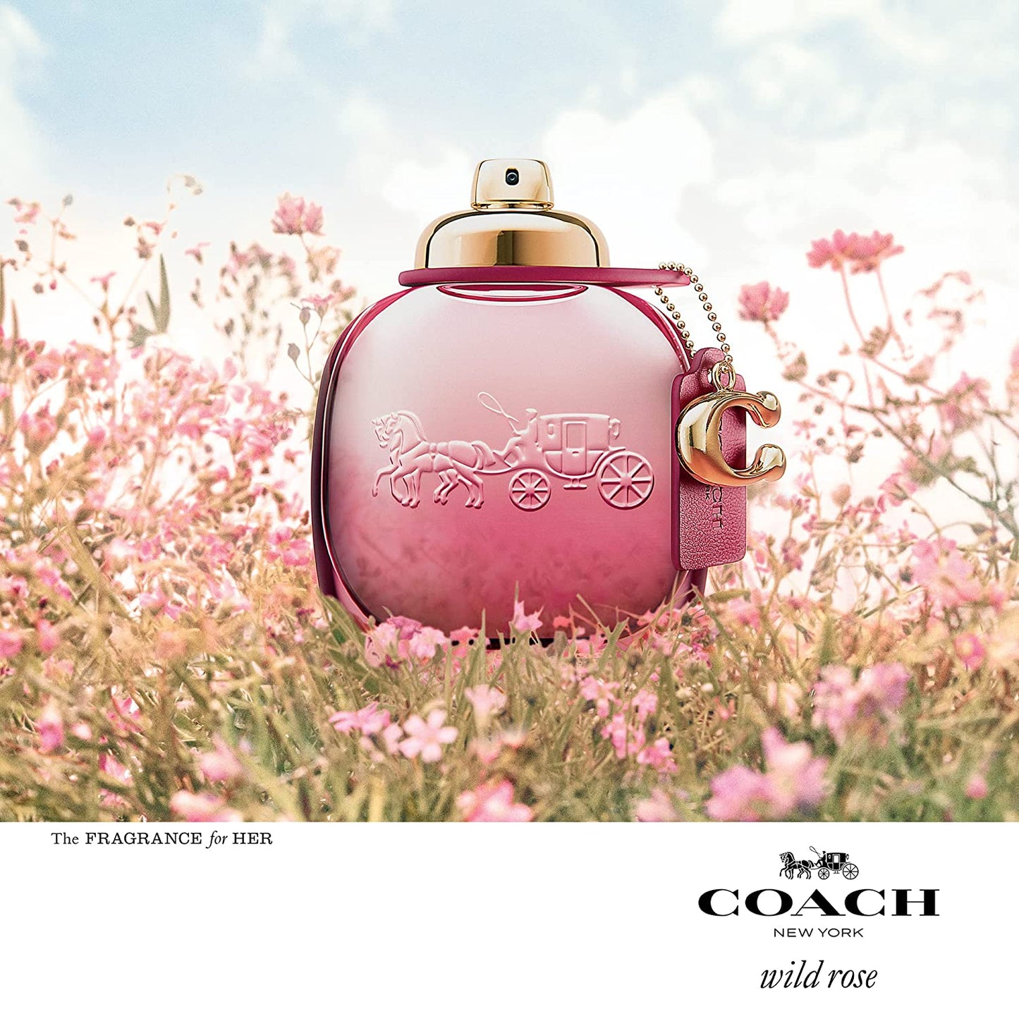 COACH WILD ROSE (W) SP 3oz