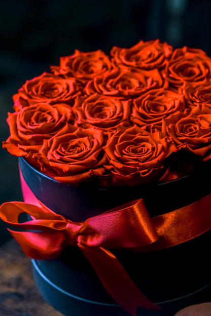 DELUXE BOX 16 ROSAS PRESERVADA