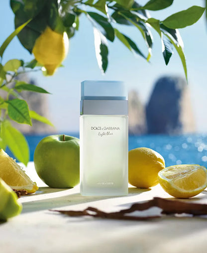 DOLCE & GABBANA LIGHTBLUE TESTER 3.3 OZ