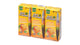 DEL FRUTAL MINI MANGO 24/8
