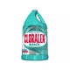 CLORALEN REGULAR 6/121 oz