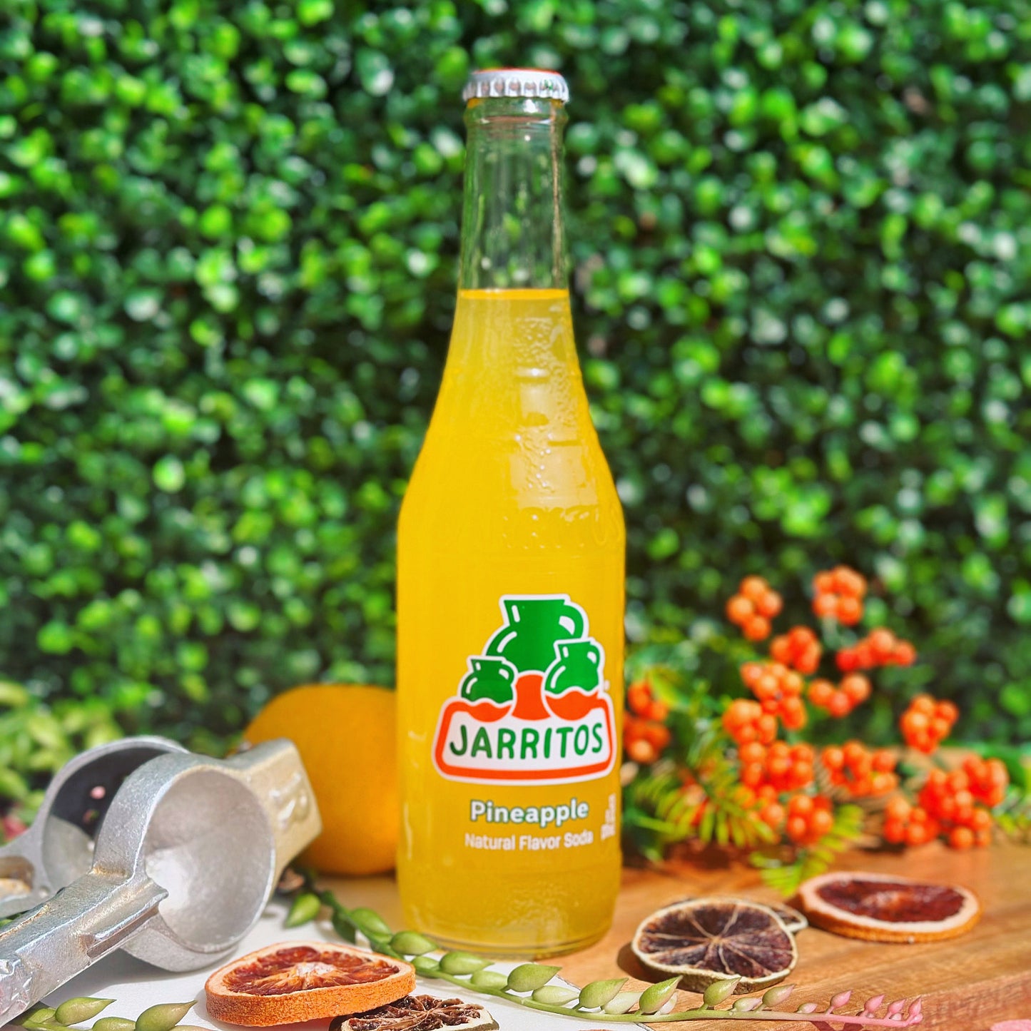 JARRITO PINA 24/12 oz