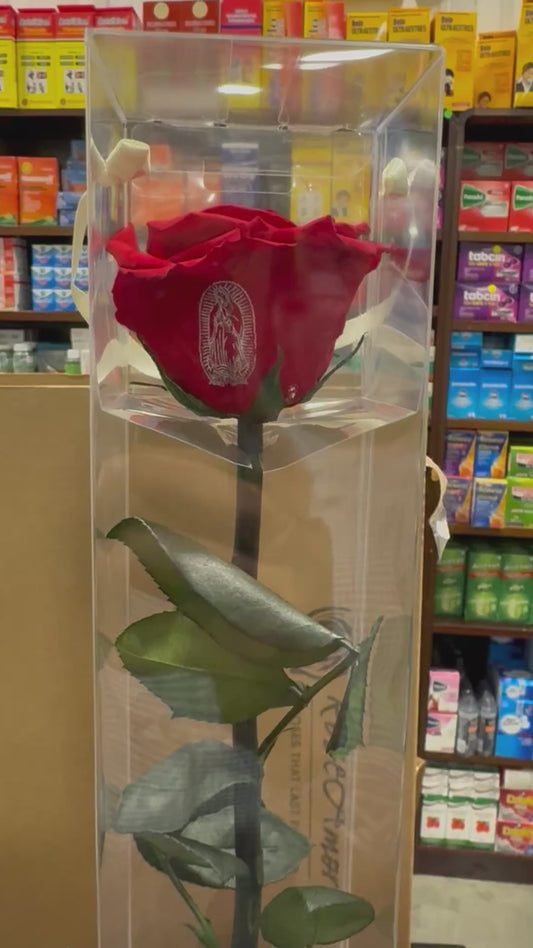 ROSA  GUADALUPE ROJA 12 PZ